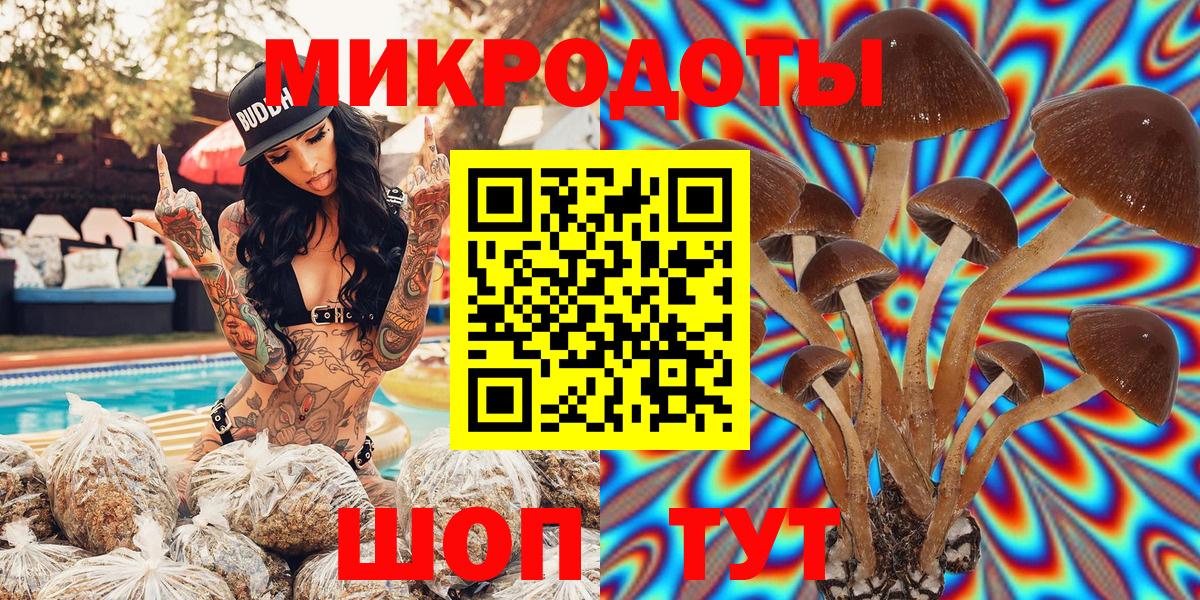 Псилоцибиновые грибы Cubensis Куйбышев
